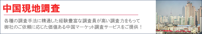 中国マーケット調査
